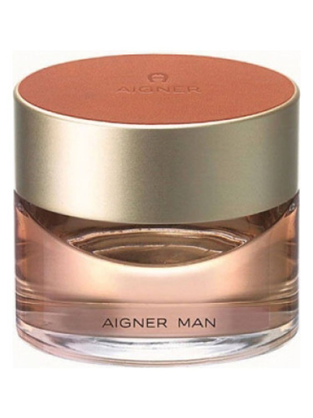 Etienne Aigner In Leather Man