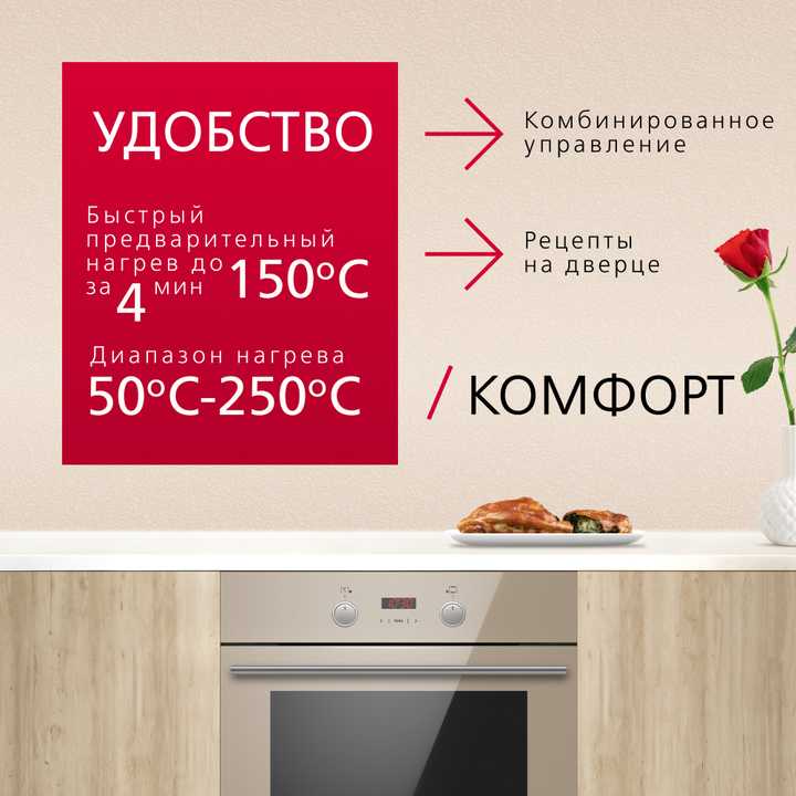 Духовой шкаф Hansa BOEB68433