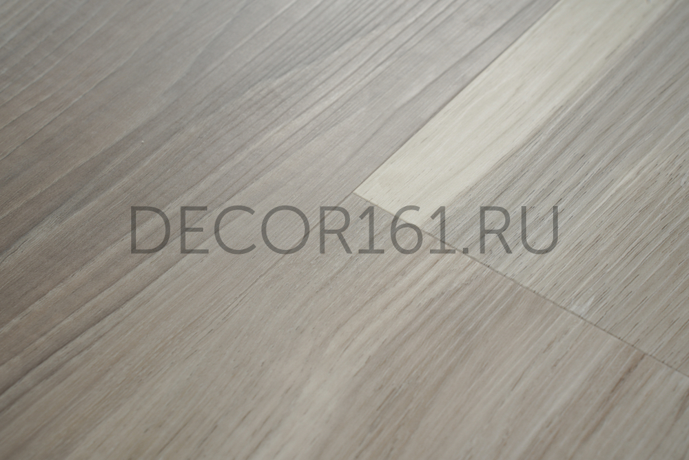 1013 Forest Collection SPC