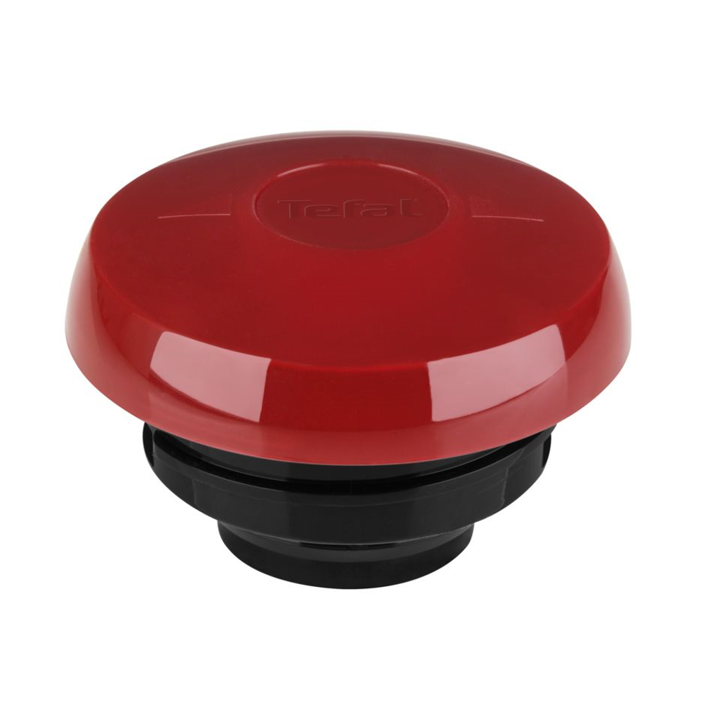 Термос-чайник Tefal Samba K3031312 1 л