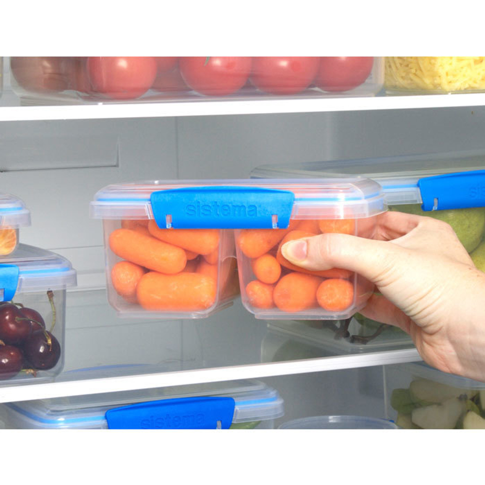 Контейнер двойной 1л Sistema Fresh синий