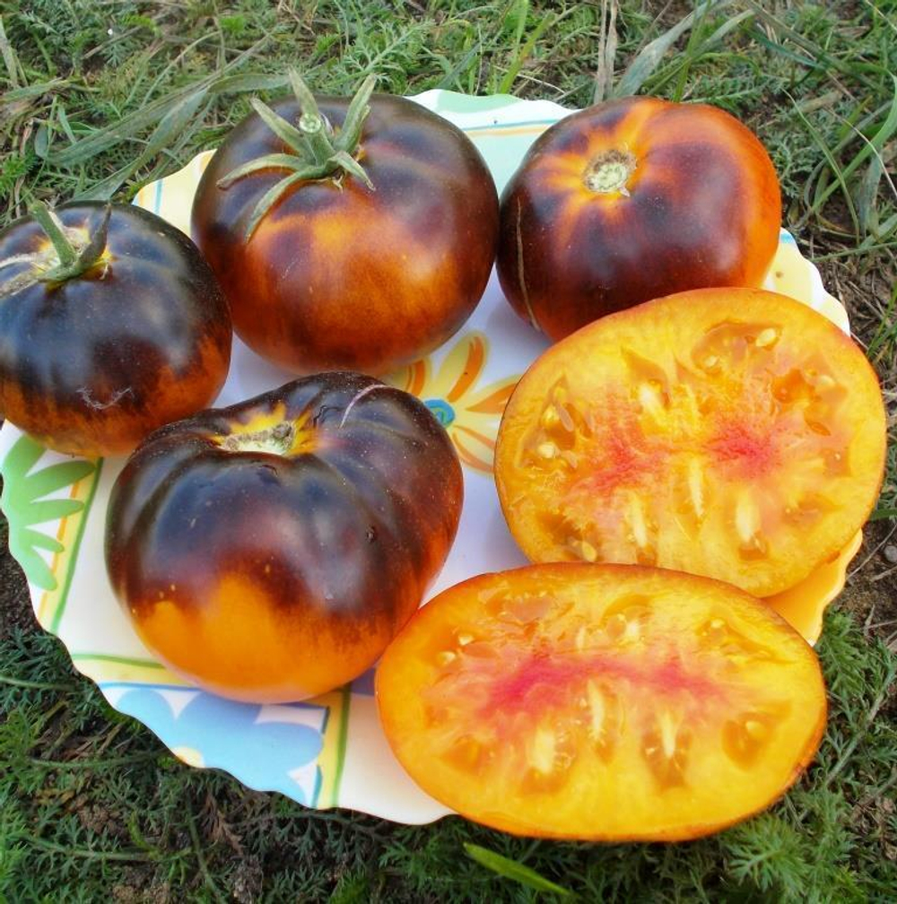 Помидоры Настоящая Драгоценность  - Lucid Gem Tomato