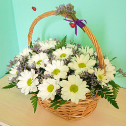 Корзина с хризантемой Баккарди