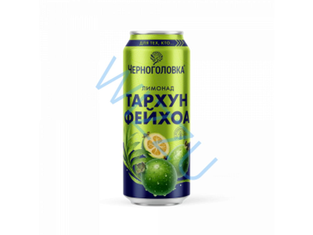 Напиток безалкогольный Черноголовка Тархун-фейхоа 450г