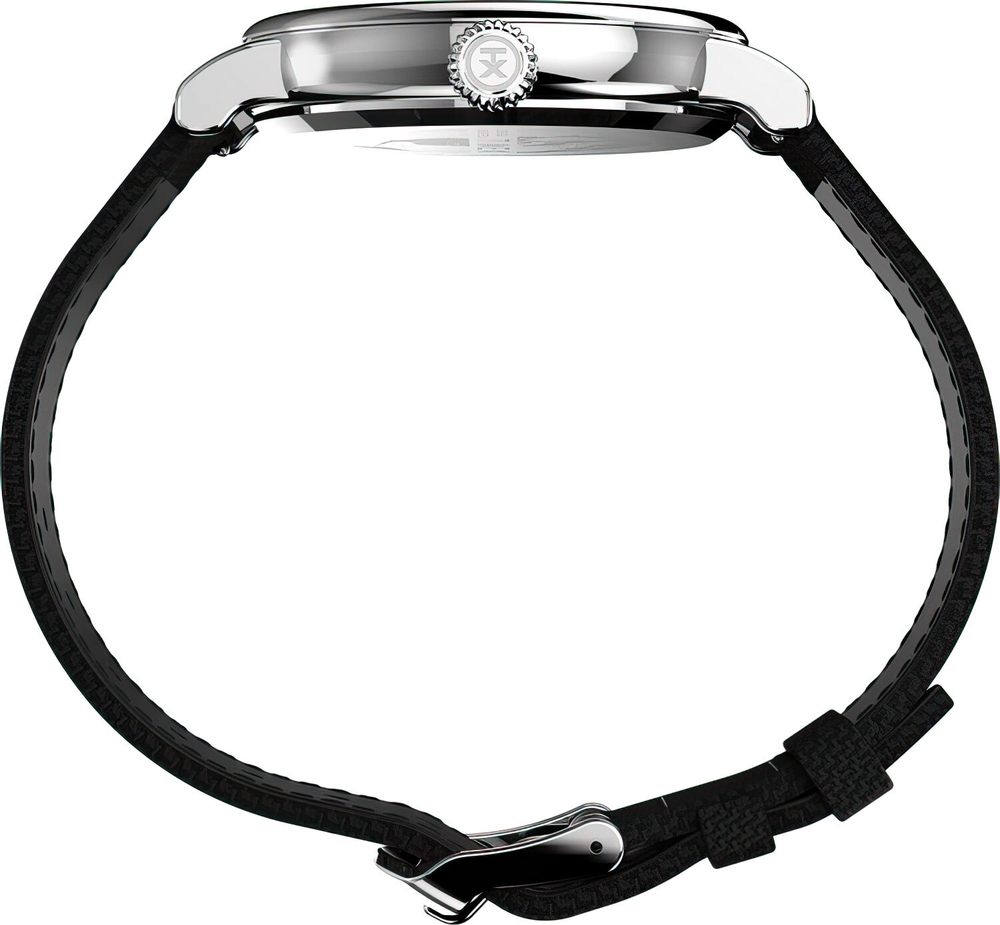 Мужские наручные часы Timex TW2V44200
