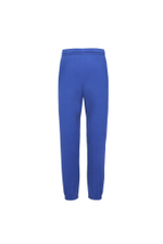 Спортивные штаны ATHLETIC POLO RALPH LAUREN - темно-синий(934958)