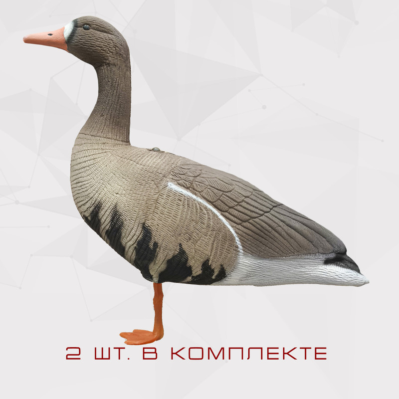 Белолобый гусь S-XPE мод. B6112X