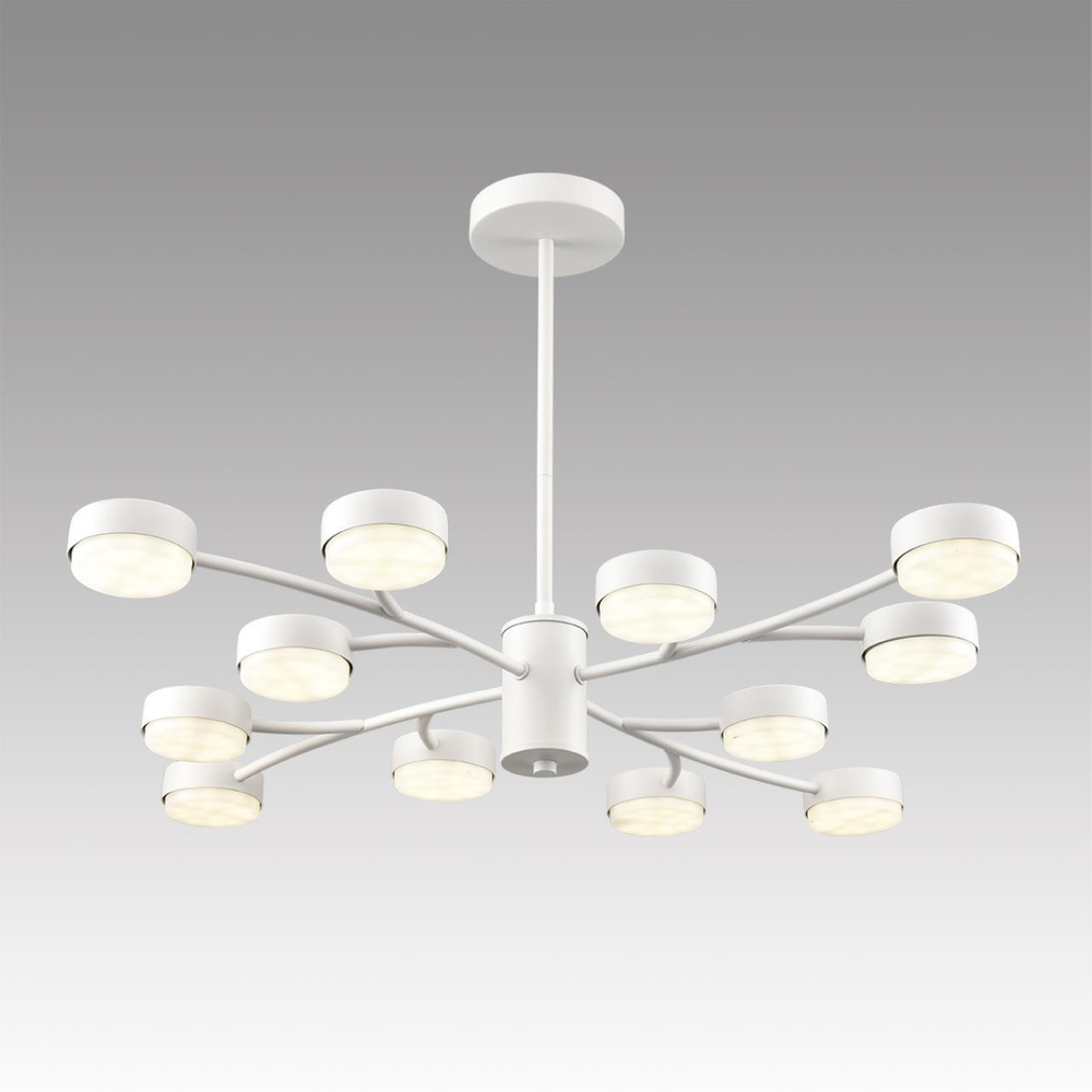 Подвесная люстра Lumion TORINA 8265/12