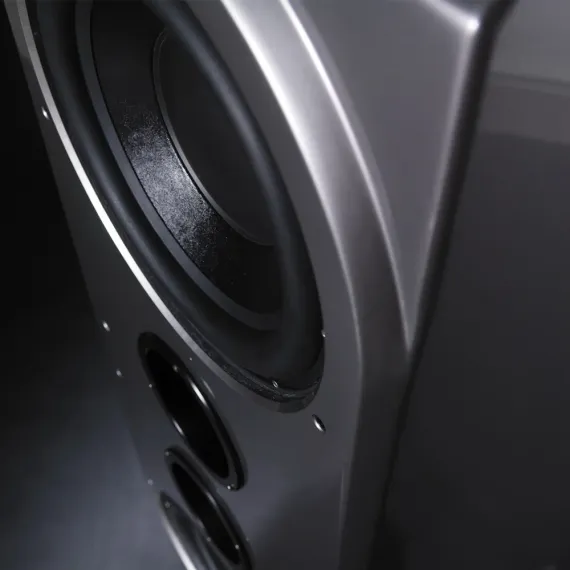 Wilson Audio Thor Hammer Subwoofer Carbon