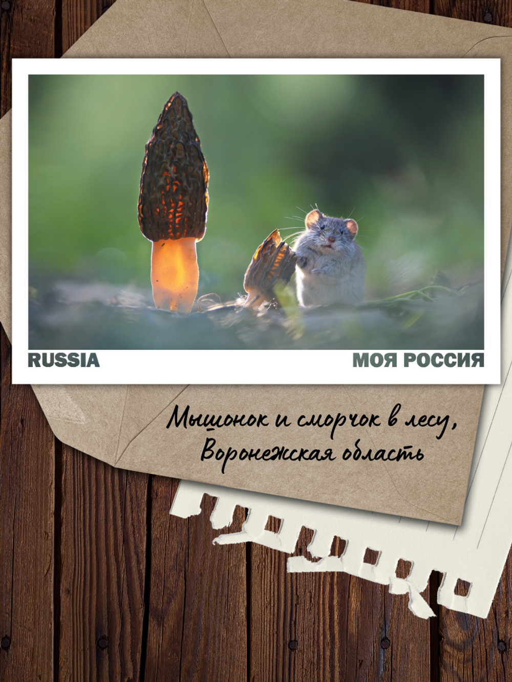Моя Россия. Весна (выпуск №2, 2023)
