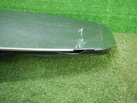 DSCN8550.JPG