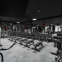 Гантельный ряд полиуретановый LEVEL (шаг 2,5 кг, 5 пар) PROFI-FIT 40-50 кг