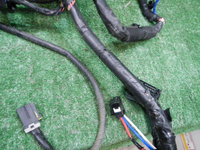 YSCN1231.JPG