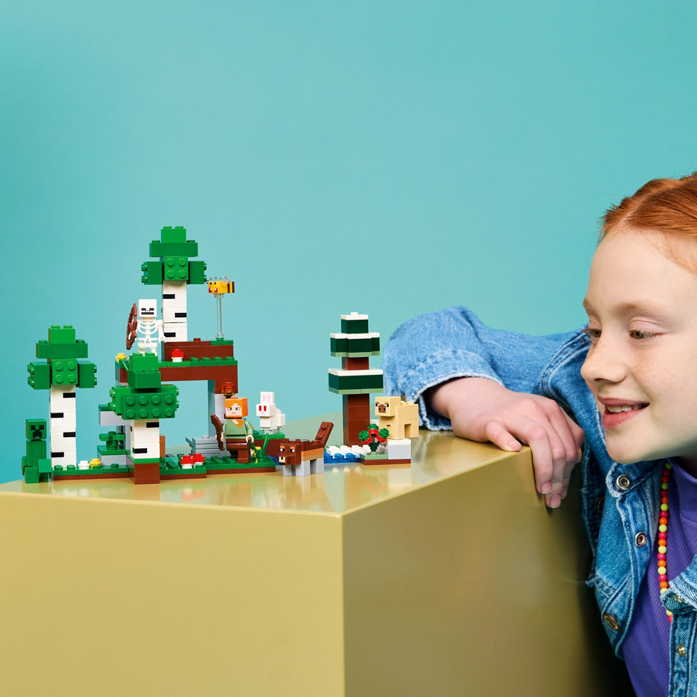 Конструктор Лего Майнкрафт Приключение в первую ночь 21593 | LEGO Minecraft First Night Adventure | 301 деталь | 8+