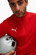 Кофта Puma teamGOAL Training 1/4 Zip Top - красный