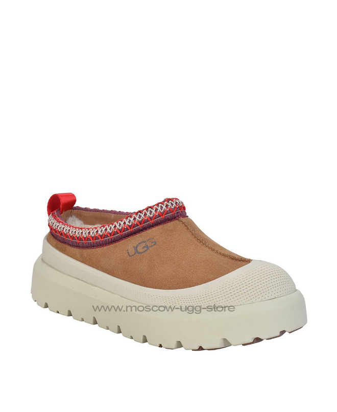 TAZZ HYBRID - chestnut white