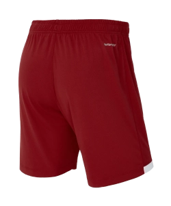Шорты игровые Jogel DIVISION PerFormDRY Union Shorts, гранатовый 83
