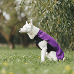 Флисовая кофта DOGLEA СПОРТ КОМФОРТ