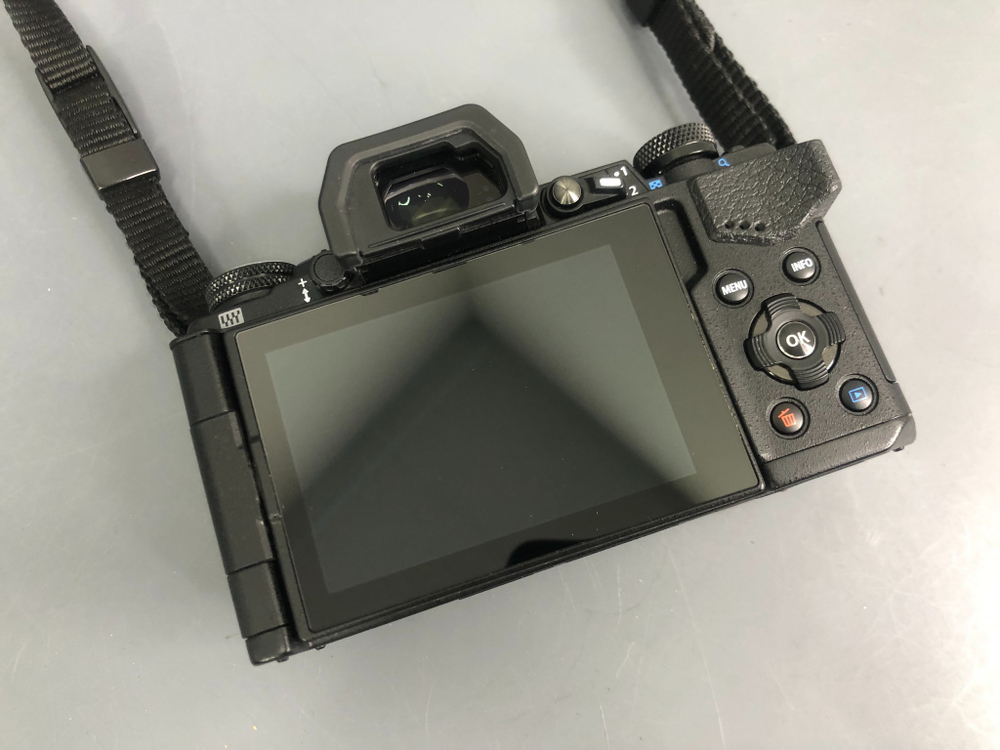 Olympus OM-D E-M5 Mark II Body (4.000 кадров)