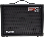 joyo_dc-30.jpg
