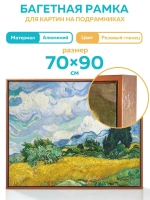 Металлическая багетная рама 70х90 см