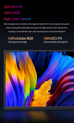 13.3" Портативный монитор VCHANCE 4K (3840x2160) OLED, 60 Гц