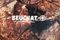 Гидрокостюм Beuchat Rocksea Competition RUS 7 мм