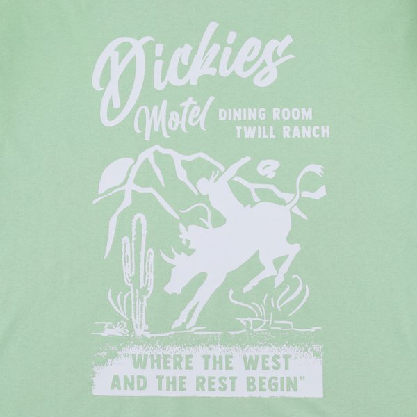 Футболка Dickies Dighton Graphic T-Shirt (quiet green) артикул: - купить в магазине Дайс