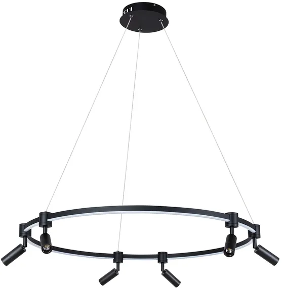 Подвесной светильник Ring A2186SP-1BK Arte Lamp