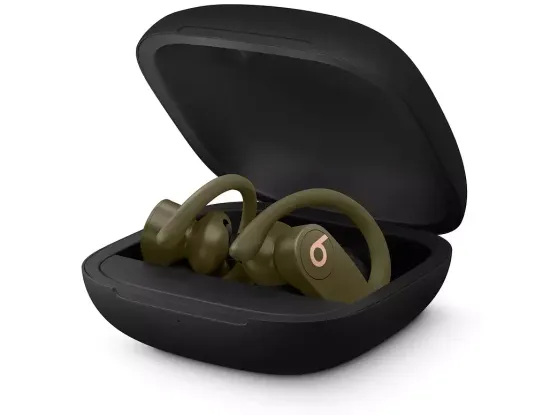 Беспроводные наушники Beats Powerbeats Pro Moss, мох