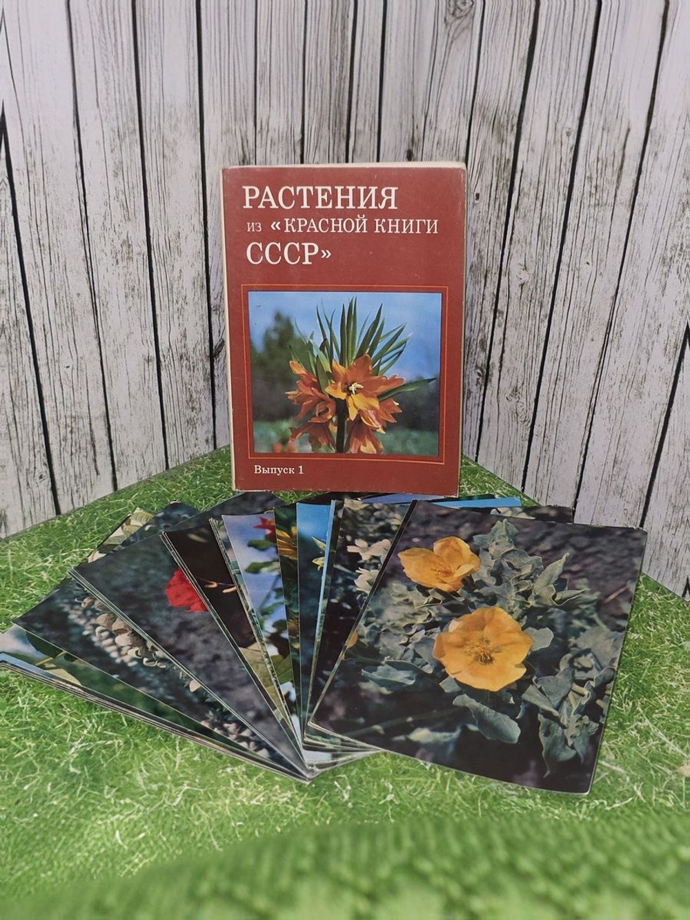 Растения из Красной книги СССР . Почтовые открытки (Комплект из 25 открыток)