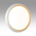 Потолочный светодиодный светильник Sonex PALE SN 7650/DL