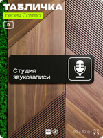 Табличка Студия звукозаписи, 30х10 см, для офиса, кафе, магазина, паркинга, серия COSMO, Айдентика Технолоджи