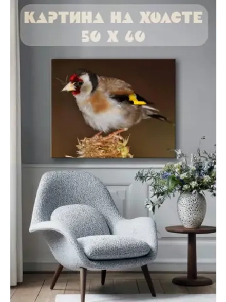Картина на стену 40 X 50 Птица