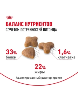 Sensible 33 Корм для кошек с чувствительным пищеварением 2кг