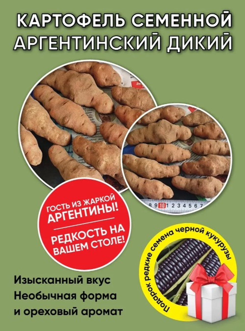 Дикий картофель, 4 сорта