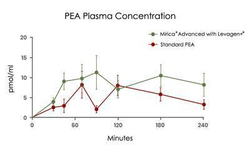 Mirica® Advanced - Enhanced Absorption Formula - Palmitoylethanolamide (PEA) and Luteolin - 60 Capsules