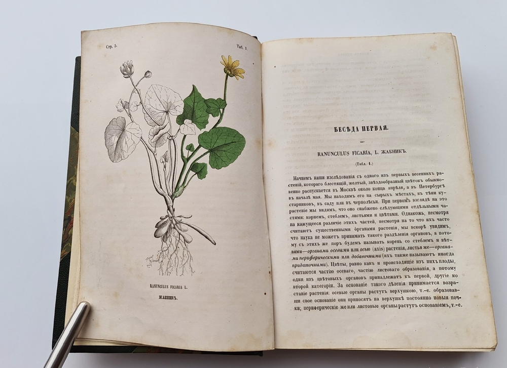"Ботанические беседы". Б.Ауэрсвальд, Э.А.Россмесслер. 1860 г. - редкая книга