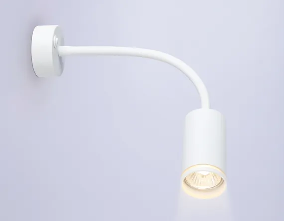 Настенно-потолочный светильник WALLERS FW2469 Ambrella