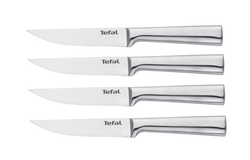 Набор ножей для стейка Tefal Expertise 4 предмета K121S414