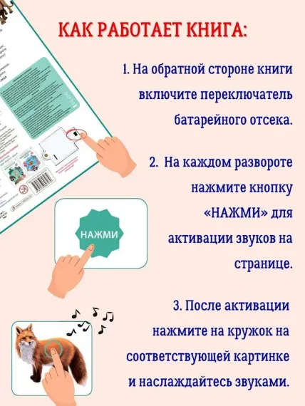 50 звуков. Животные