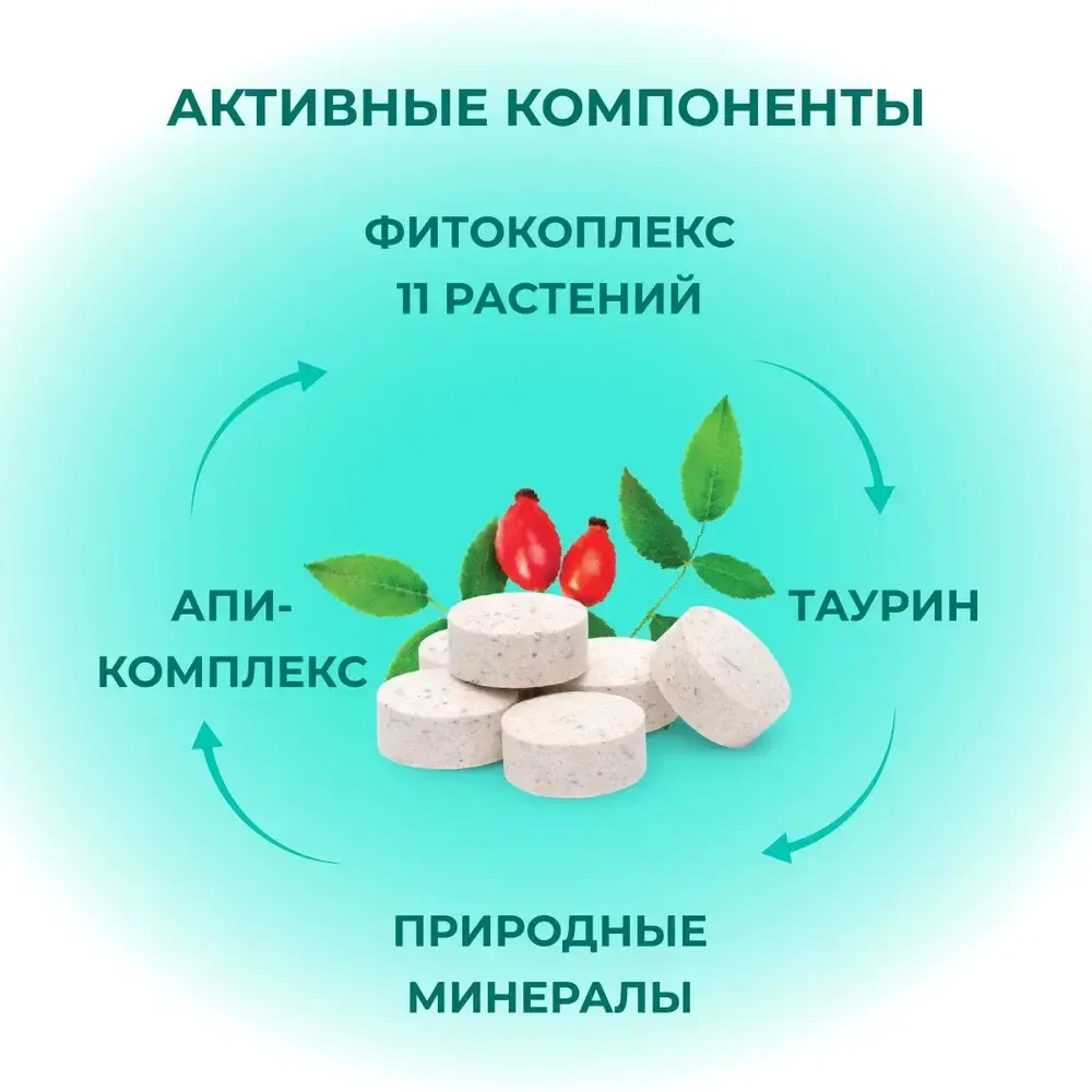 Фитокомплекс Фитомины Форте для пожилых собак и кошек, 200 таблеток