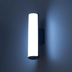 Citilux GARDA CLU0007 LED Уличный светильник Графит