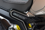 Benelli Leoncino 800