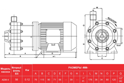 Чертёж с размерами насоса AlphaDynamic ADM 4