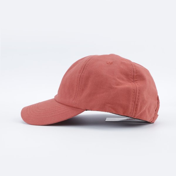 Кепка Anteater 6Panel (coral) артикул: - купить в магазине Дайс