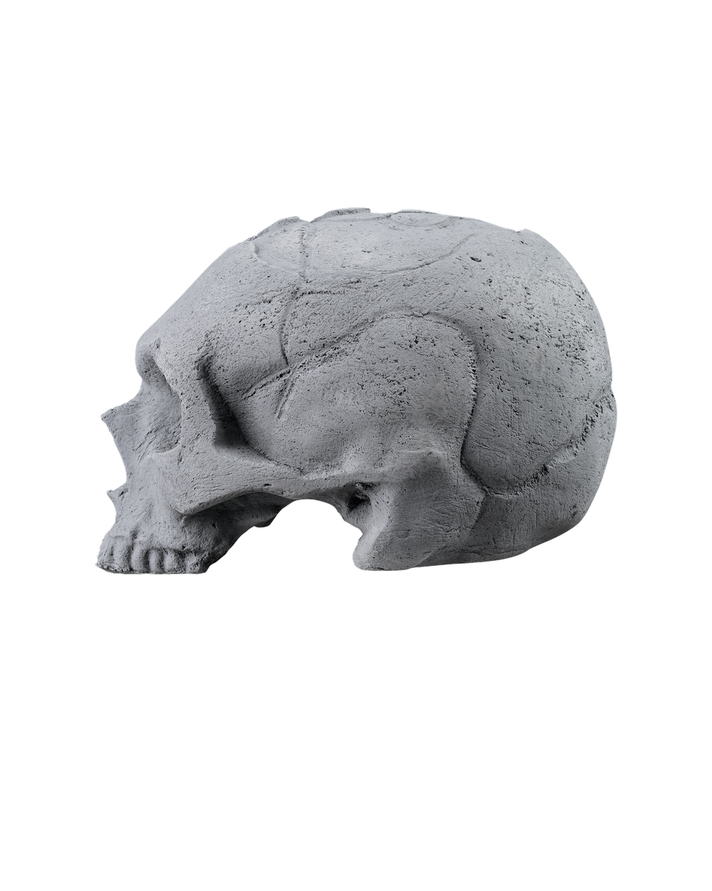 SCULL grey