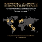 Корм с индейкой для котят для здоровья пищеварения Pro Plan РАЗВЕСНОЙ
