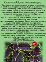 Колеус Апокалипсис вегетативный