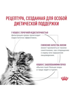 Renal Корм для кошек 350г